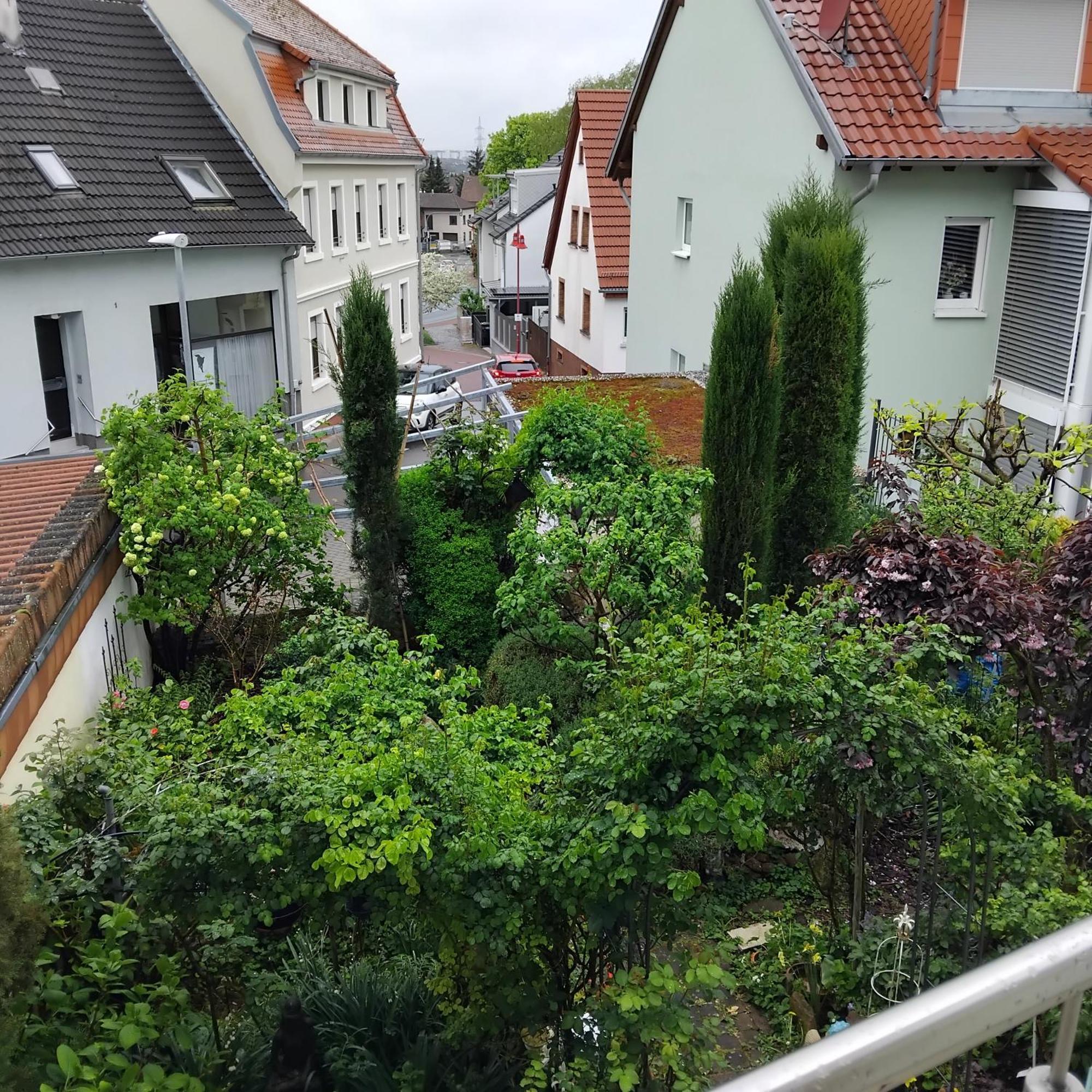 라이멘 Residenz Am Berg 아파트 외부 사진